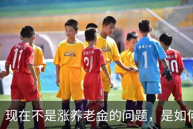 现在不是涨养老金的问题，是如何解决10年过渡期遗留的不公平问题